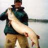 big-muskie