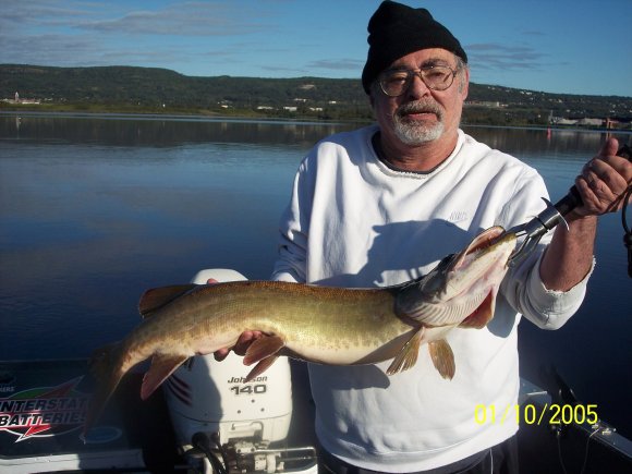 master-fish-pics-2011-008