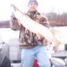 fish-2010-036