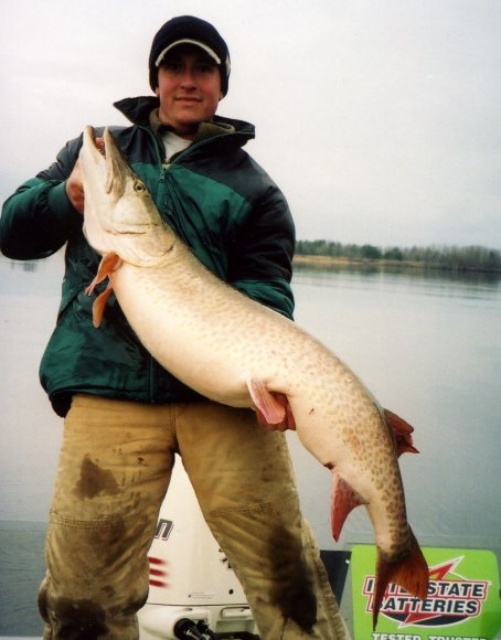 big-muskie