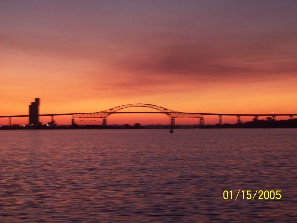 fish-pics-20011-001