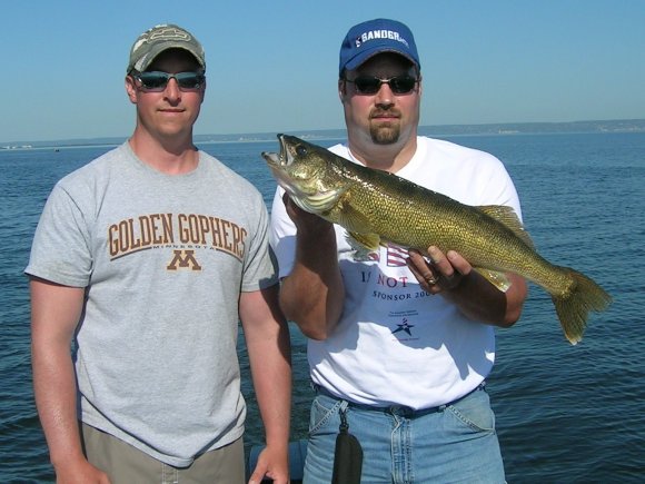 lance-walleye