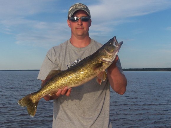 walleye-chris